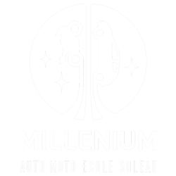 Millenium – Auto Moto Ecole Soleau